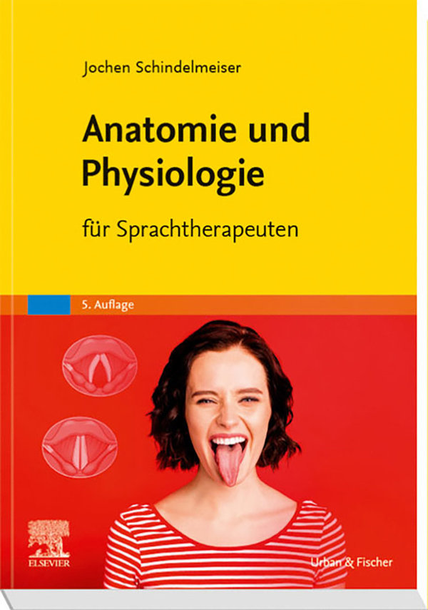 Schindelmeiser, Anatomie und Physiologie