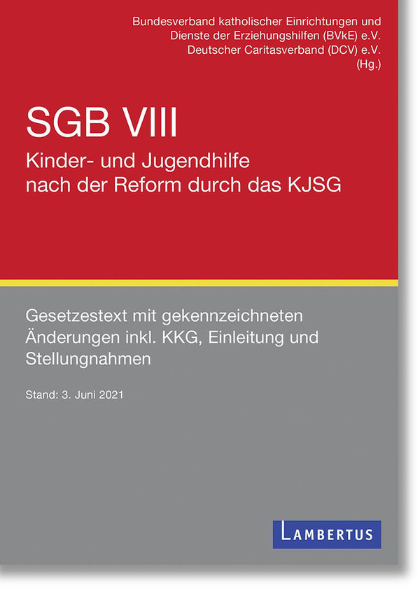 BVKE e.V./Deutscher Caritasverband, SGB VIII - Kinder- und Jugendhilfe nach der Reform durch KJSG
